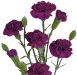 purple-mini-carnations