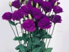 lizianthus-dark-purple