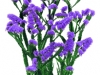 statice-dk-purple
